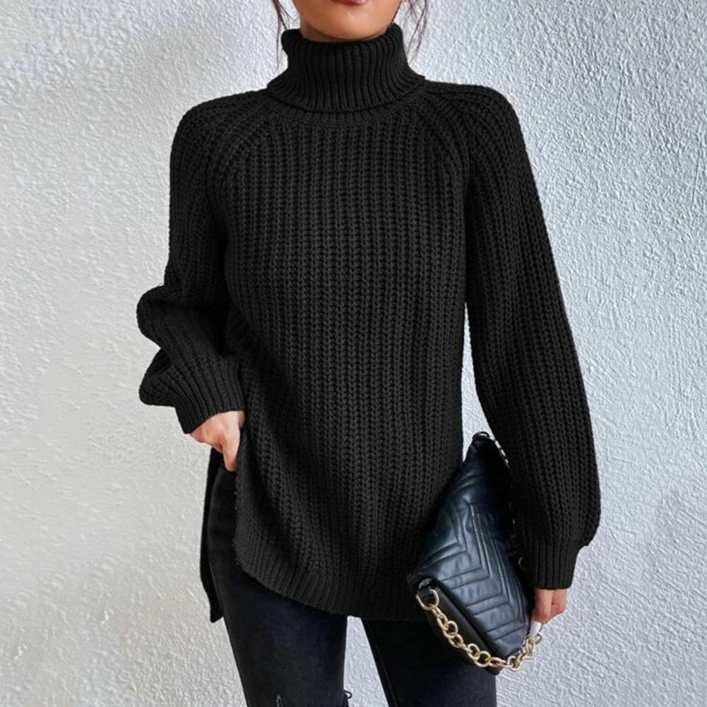 Turtleneck Knit Sweater for Women