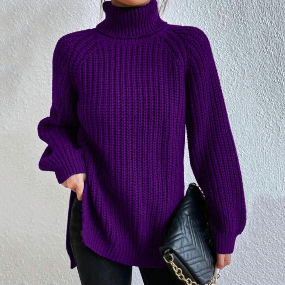 Turtleneck Knit Sweater for Women